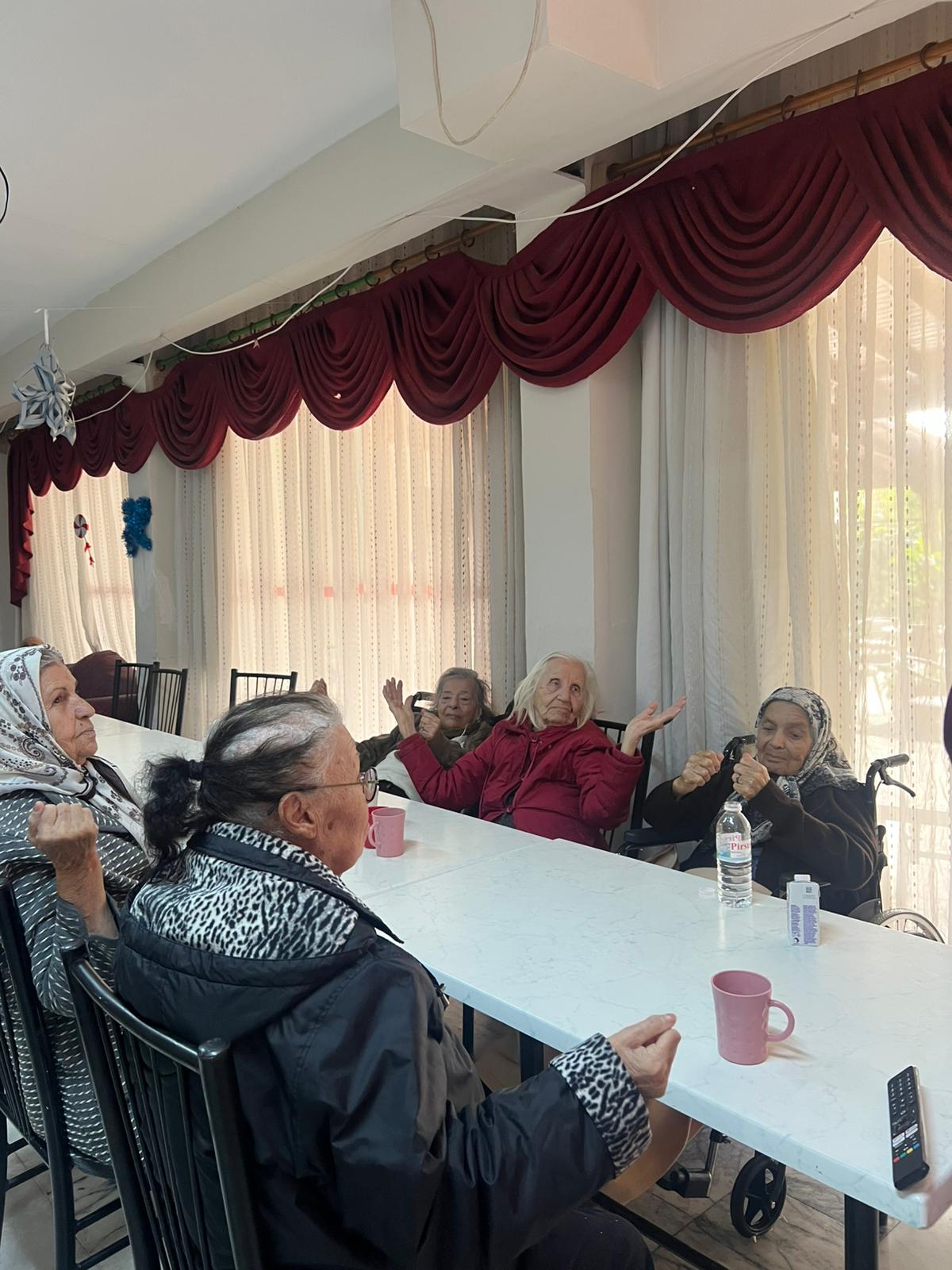 Yaşlı Bakım Etkinlik